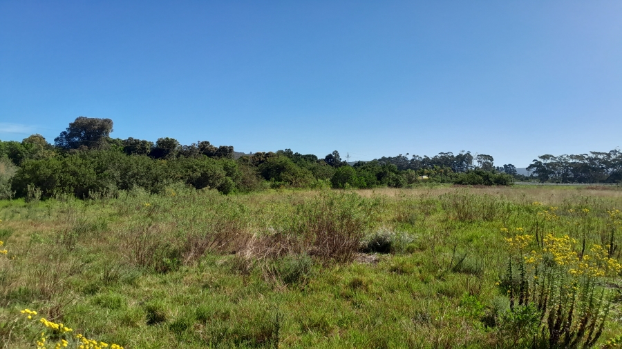 0 Bedroom Property for Sale in Wittedrift AH Western Cape